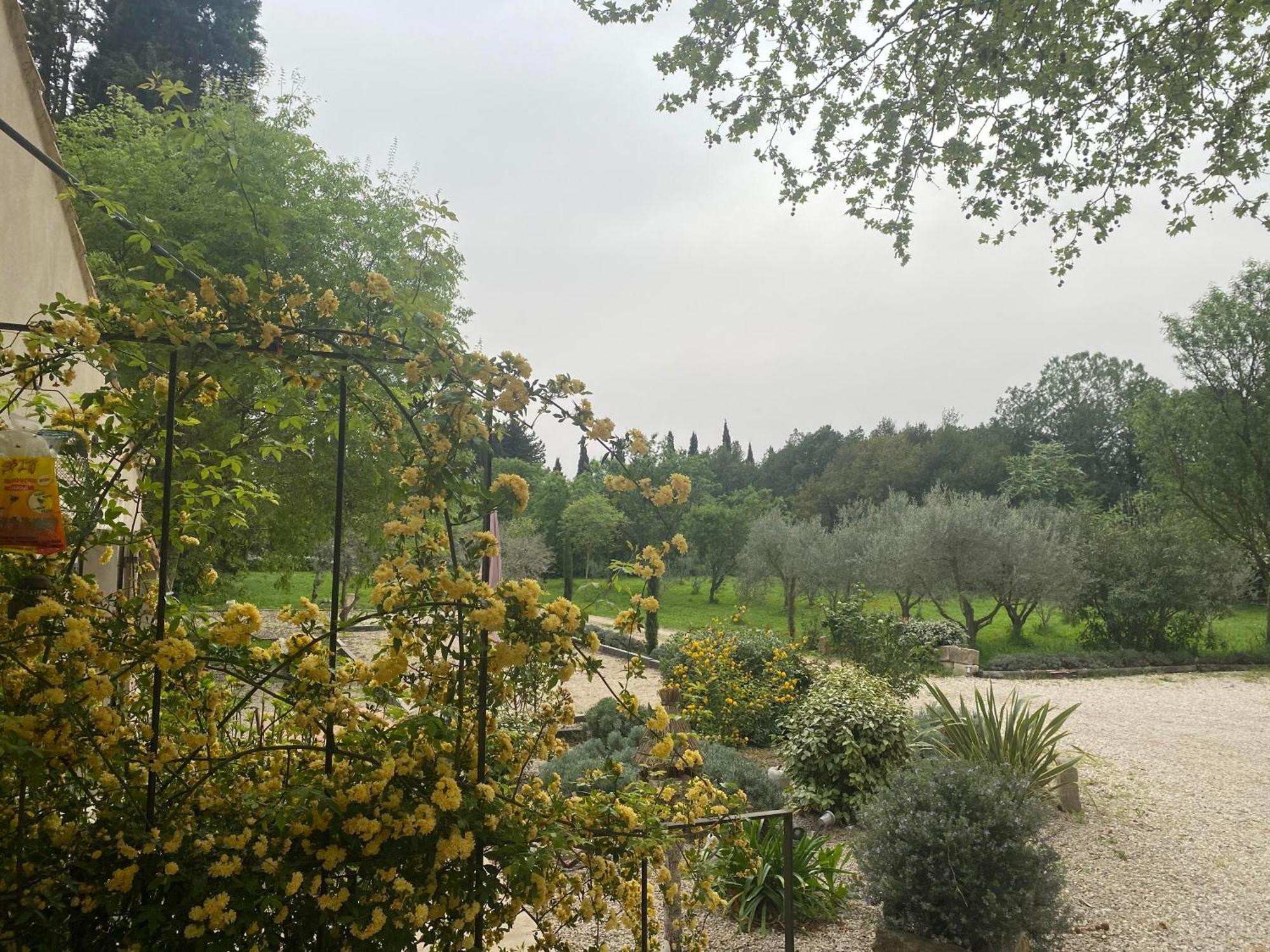 Châteaurenard Gite Du Mas De La Finiere ,Avec Spa Interieur מראה חיצוני תמונה